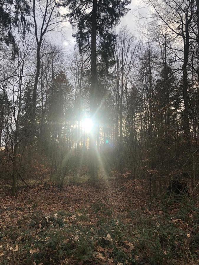 Serways Hotel Spessart Rohrbrunn Экстерьер фото